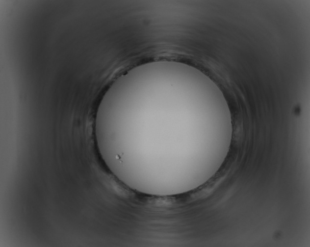 X0000101980282200807180807