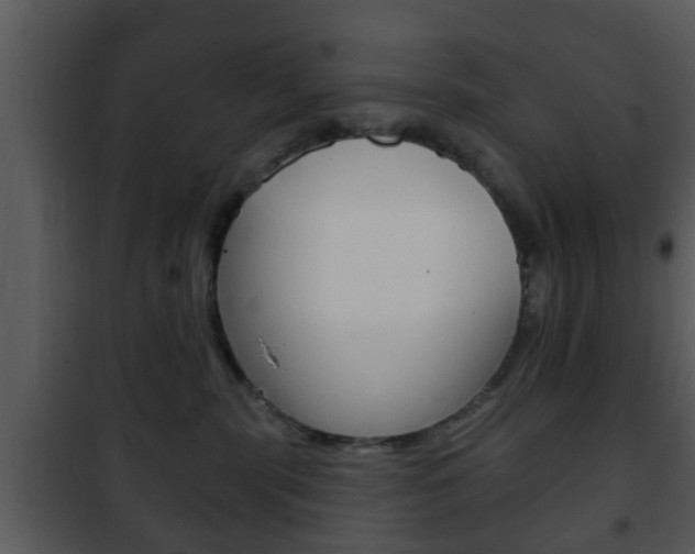 X0000101980283200807180808