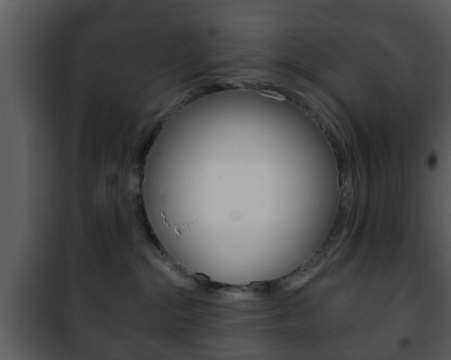 X0000101980284200807180808