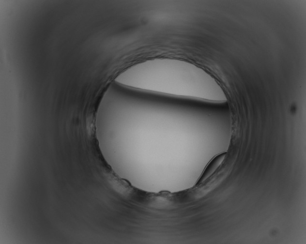 X0000101980285200807180808