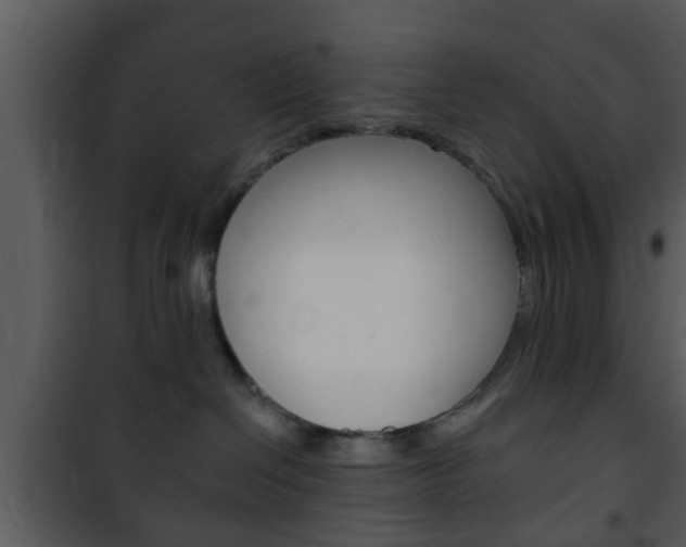 X0000101980286200807180808