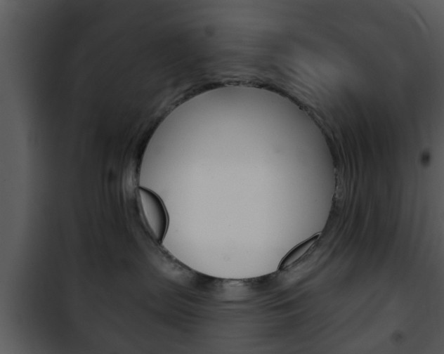 X0000101980287200807180808