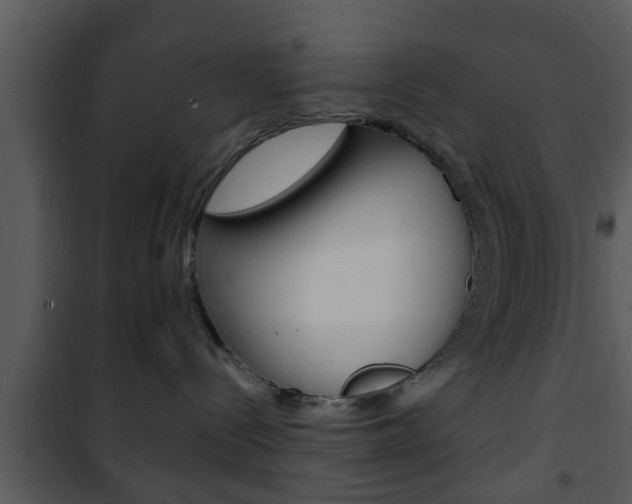 X0000101980288200807180808