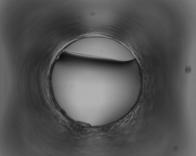 X0000101980289200807180807