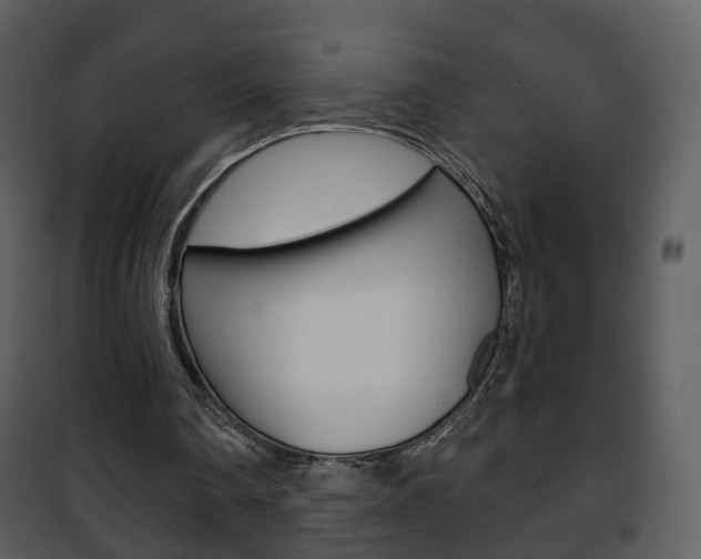 X0000101980290200807180807