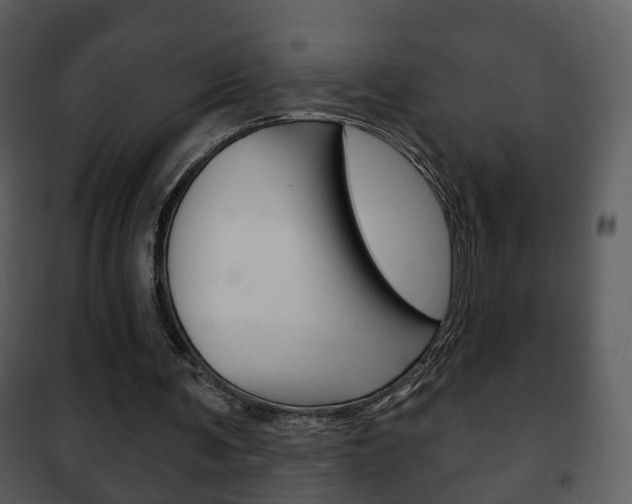 X0000101980291200807180807