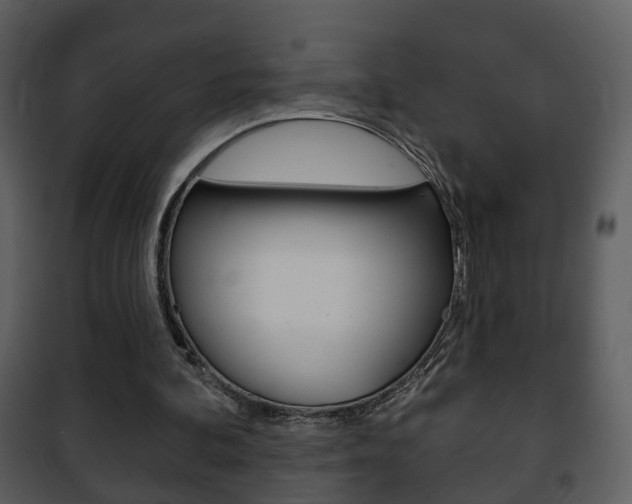 X0000101980292200807180807