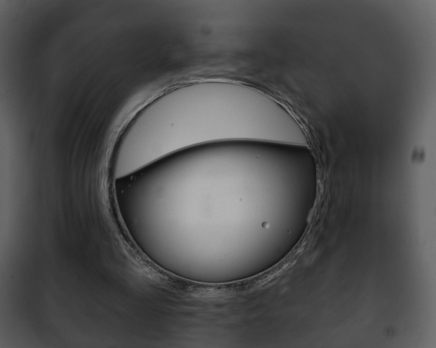 X0000101980293200807180807