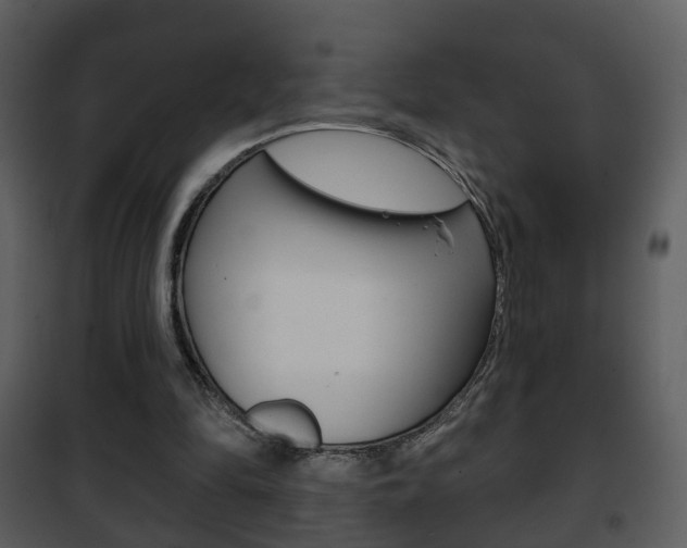 X0000101980294200807180807