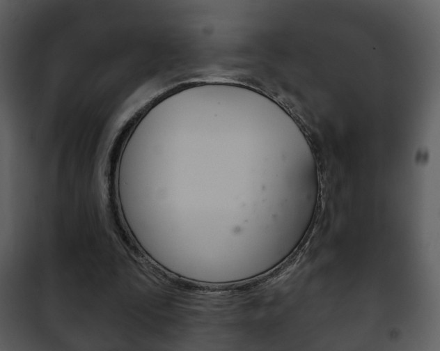 X0000101980295200807180807