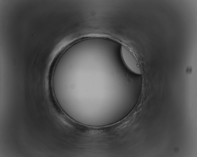 X0000101980296200807180807