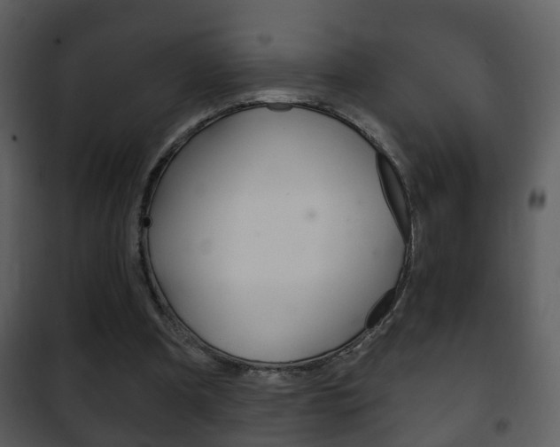 X0000101980297200807180807