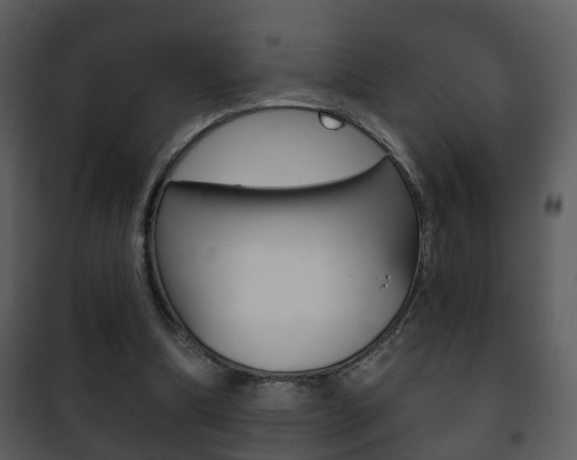 X0000101980298200807180807