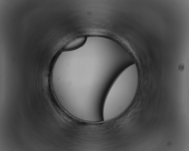 X0000101980299200807180807