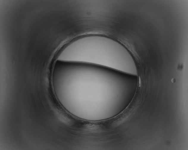 X0000101980300200807180807