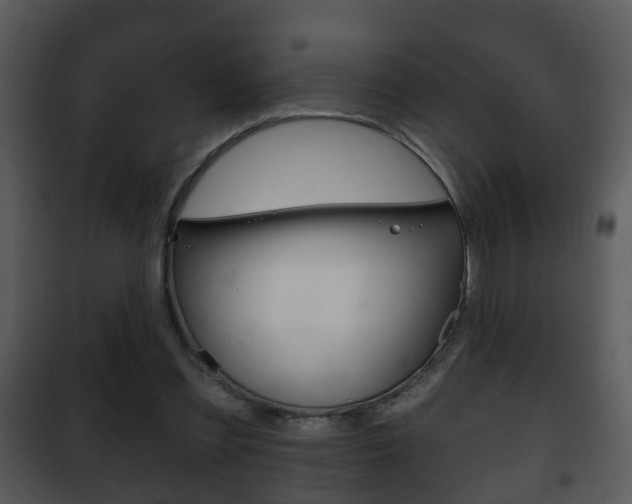 X0000101980301200807180807