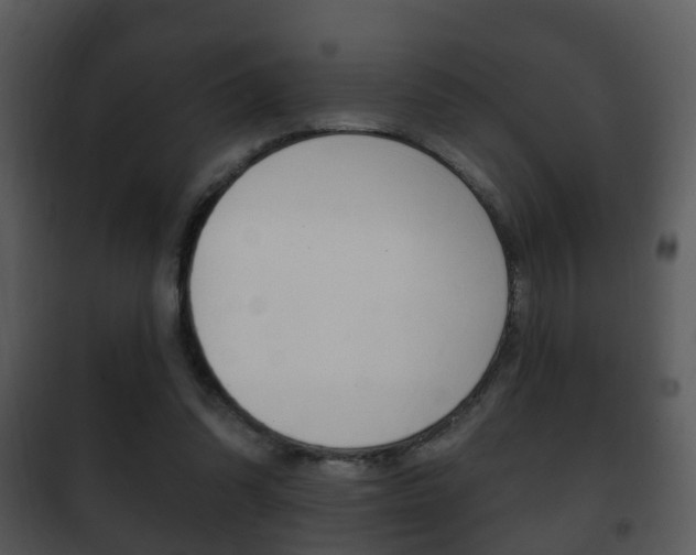 X0000101980302200807180807