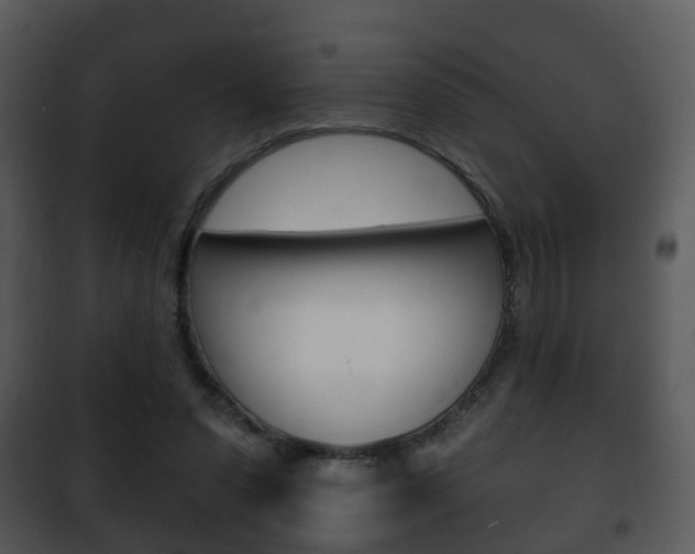 X0000101980303200807180806