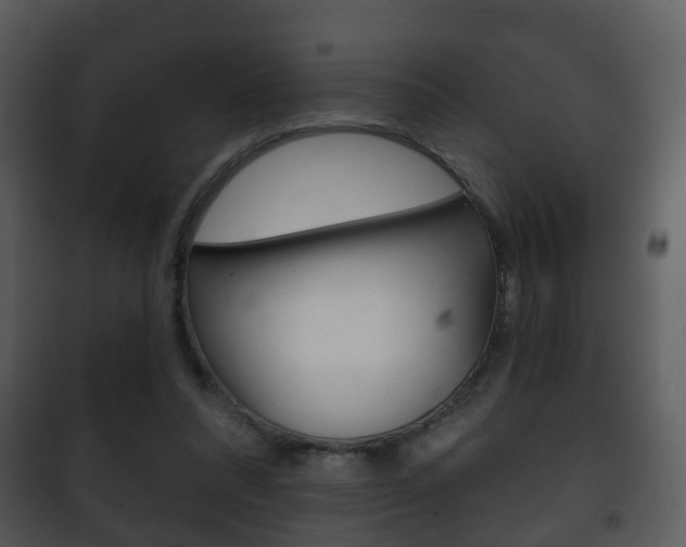 X0000101980304200807180806