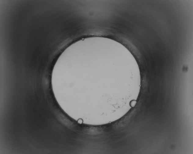 X0000101980305200807180806