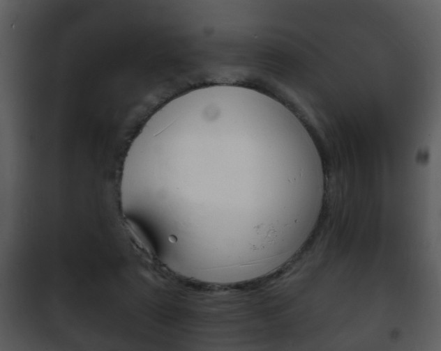 X0000101980307200807180806