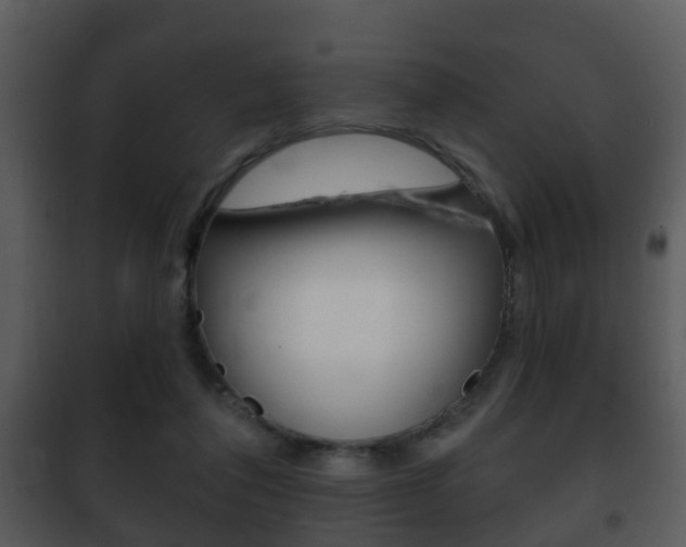 X0000101980308200807180806