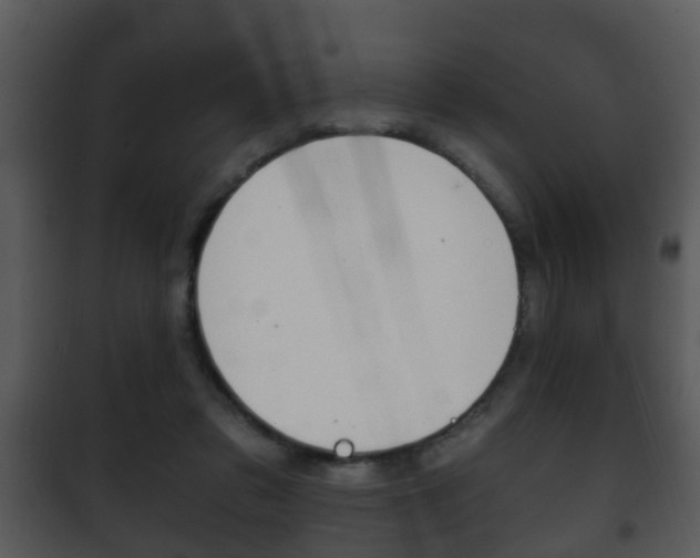 X0000101980309200807180806