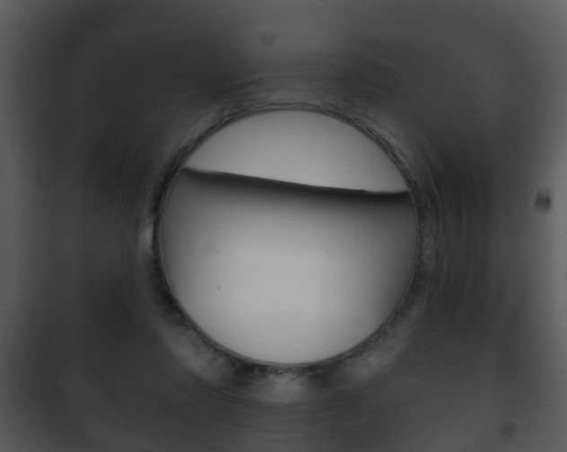 X0000101980310200807180806