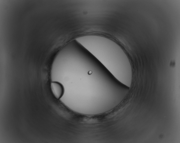 X0000101980311200807180806