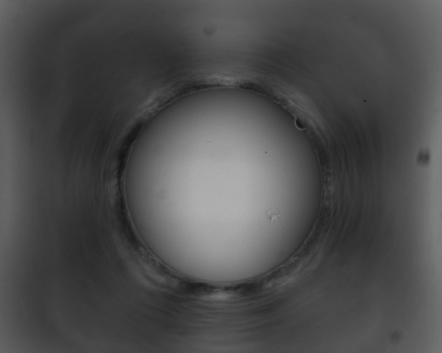 X0000101980312200807180806