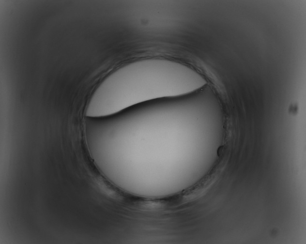 X0000101980313200807180806