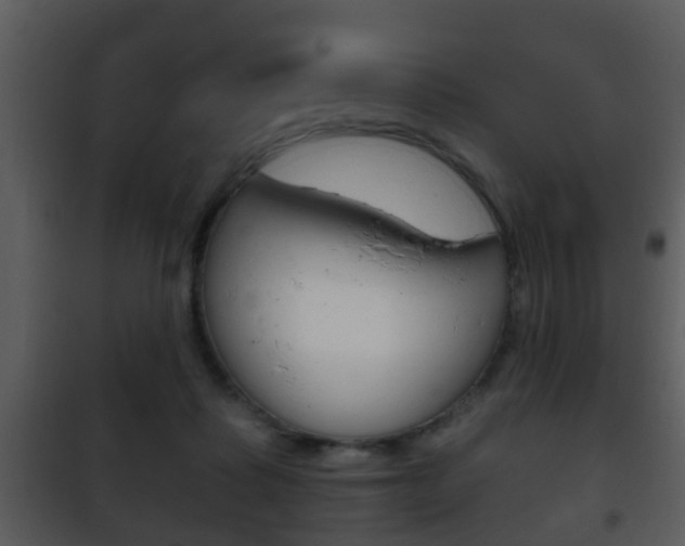 X0000101980315200807180806