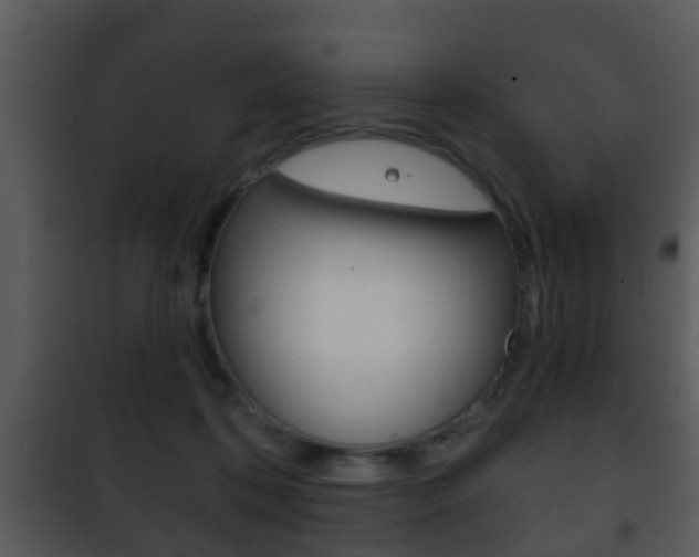 X0000101980316200807180806