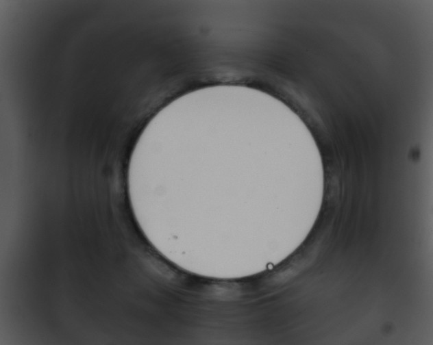 X0000101980317200807180806