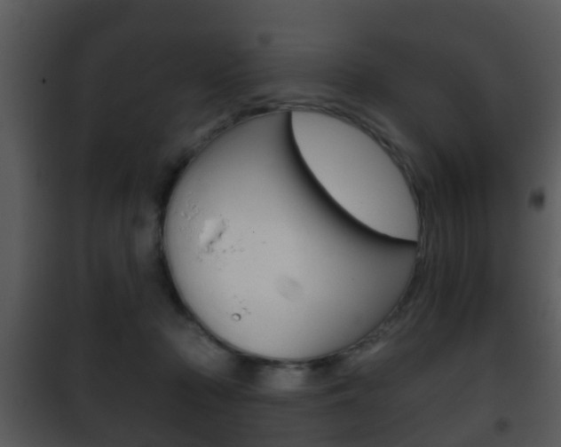 X0000101980318200807180806