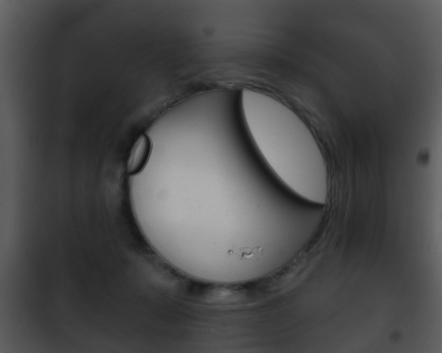 X0000101980319200807180806