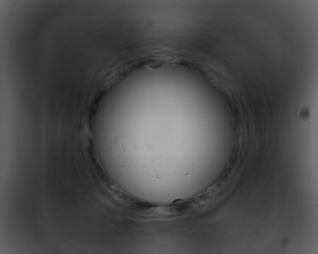 X0000101980320200807180806