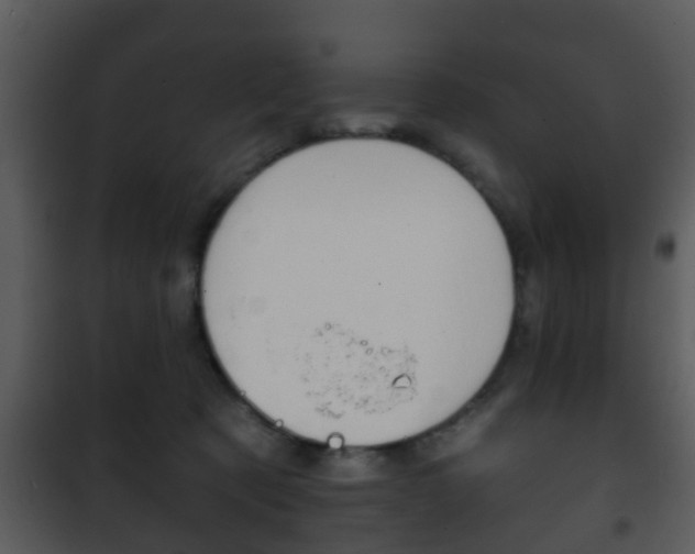 X0000101980321200807180806