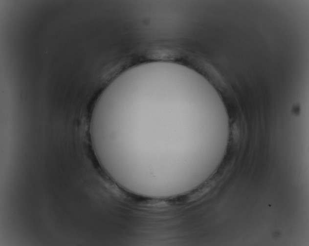 X0000101980322200807180806