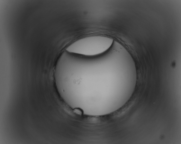 X0000101980325200807180806