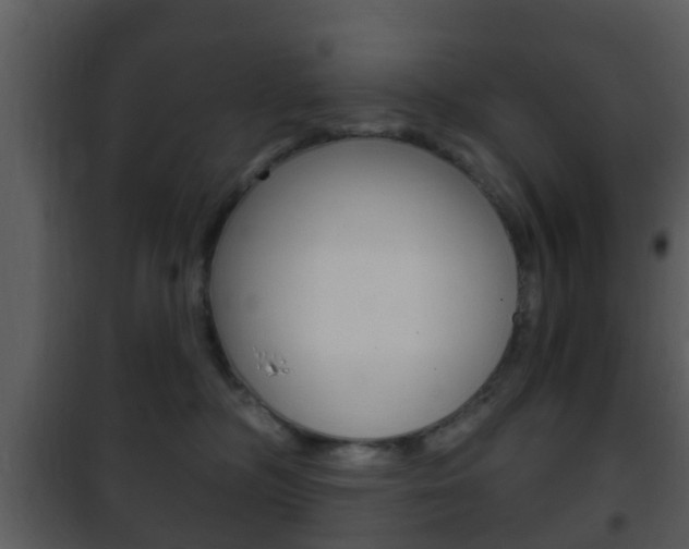 X0000101980326200807180806