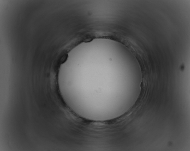 X0000101980327200807180806