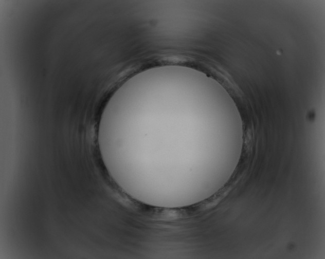 X0000101980330200807180806