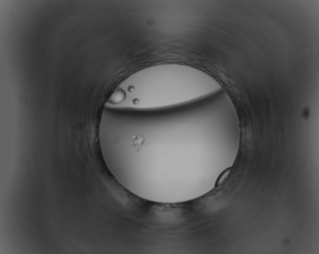 X0000101980331200807180806