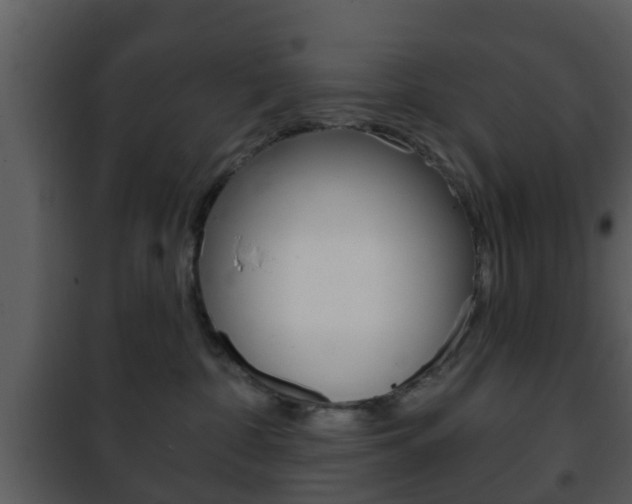 X0000101980332200807180806