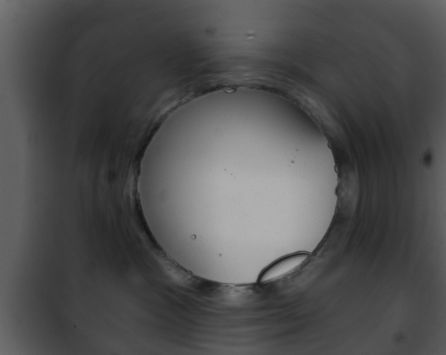 X0000101980333200807180806