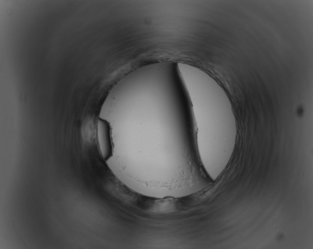 X0000101980335200807180806