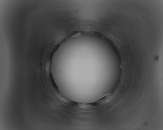 X0000101980336200807180806