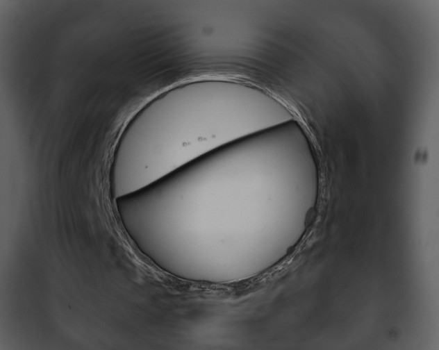 X0000101980337200807180805