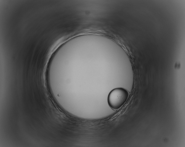 X0000101980340200807180805